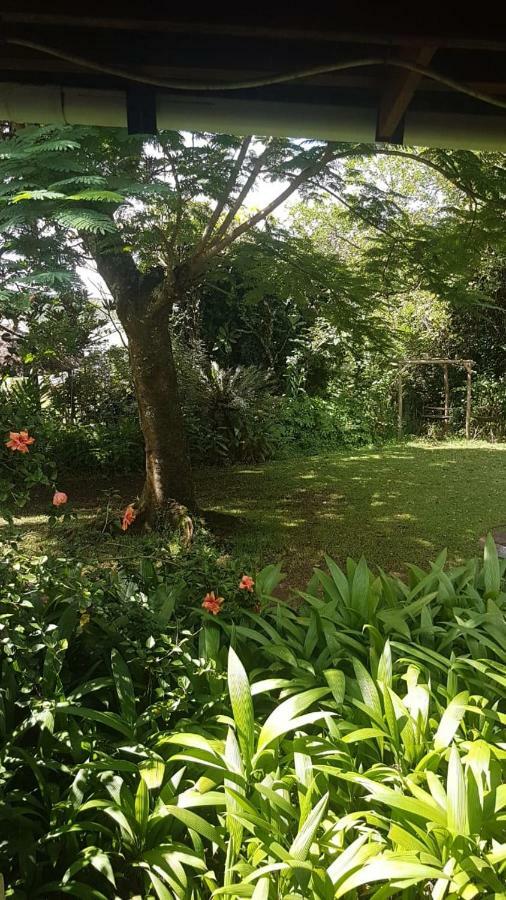 ホテル Mulberry Lane グラスコップ エクステリア 写真